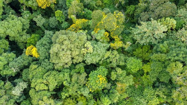 Les obstacles de l'immigration face à la crise sanitaire : défis et solutions innovantes